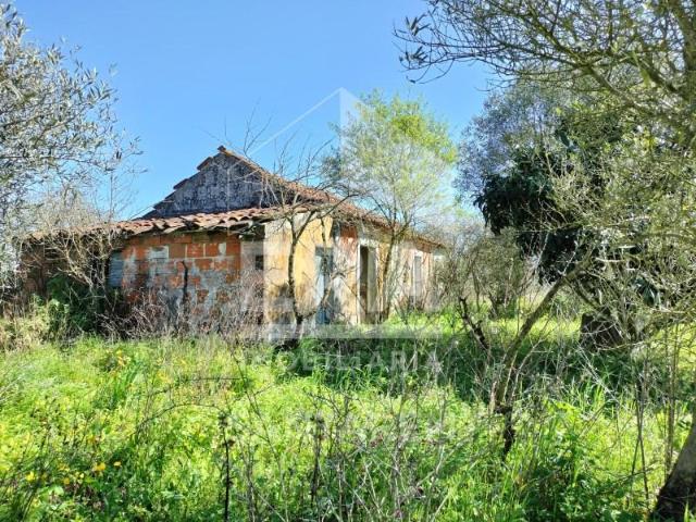 Casa venda em Santarém