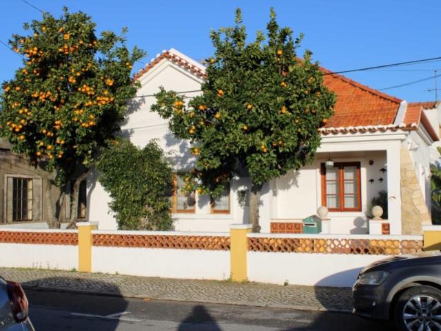 Casa venda em Santiago Do Cacém, Setúbal