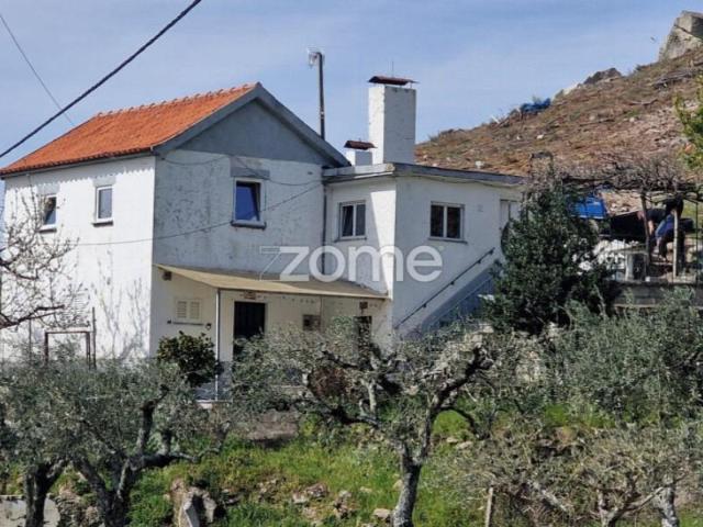 Apartamento alugar em Seia