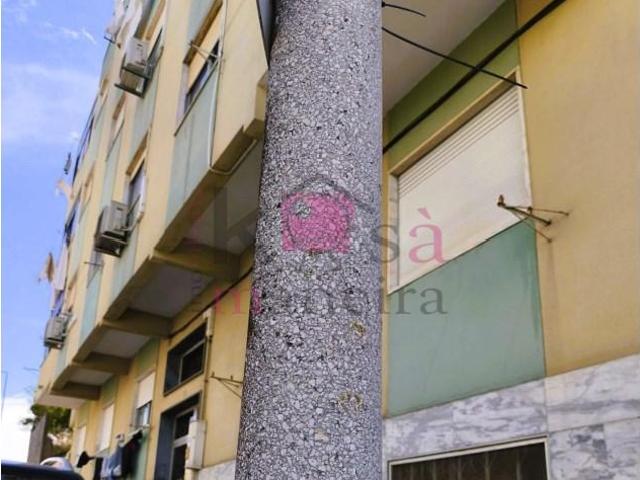 Apartamento venda em Fonte do Lavra, Setúbal