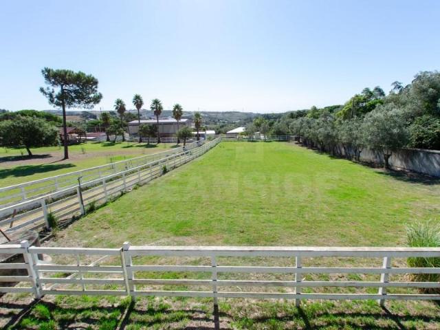 Terreno venda em Moncorvo de Cima, Sintra