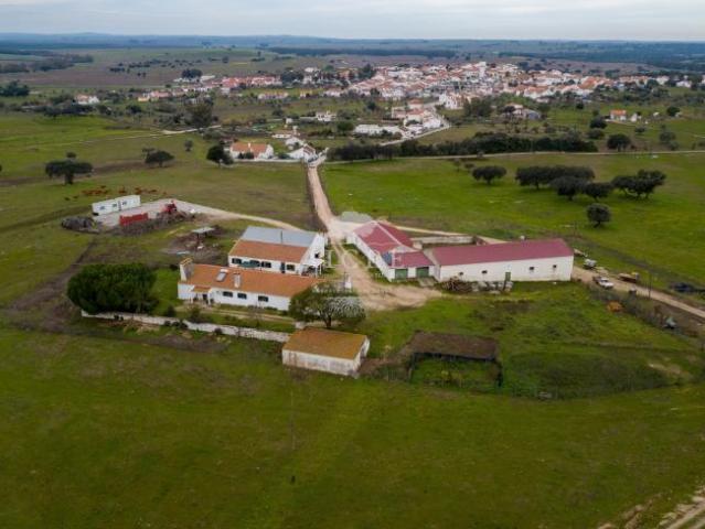 Terreno venda em Viana Do Alentejo, Évora