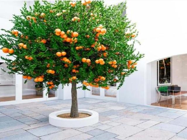 Apartamento venda em Vila Real De Santo António, Faro