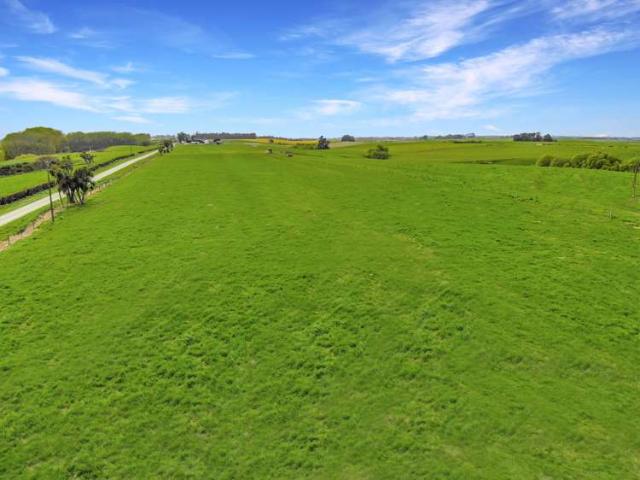 Land for sale in Waimate, Canterbury