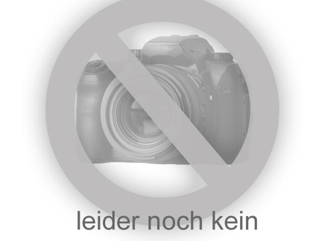 Apartment mieten in Schloßberg, Plauen