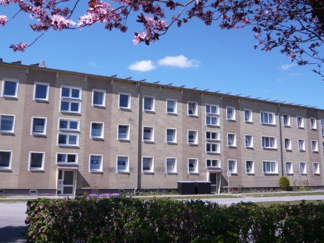 Apartment mieten in Franzburg, Mecklenburg-Vorpommern