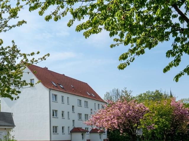 Apartment mieten in Mecklenburg-Vorpommern