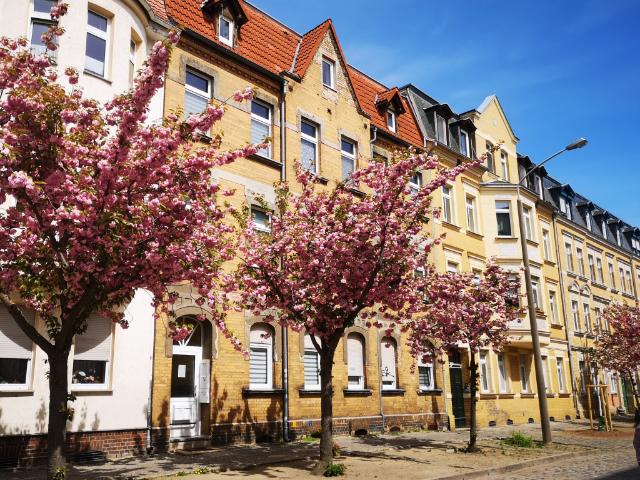 Apartment mieten in Lindenfeld, Wittenberg