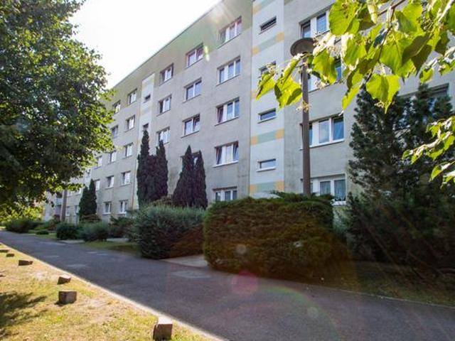 Apartment mieten in Oschatz, Sachsen