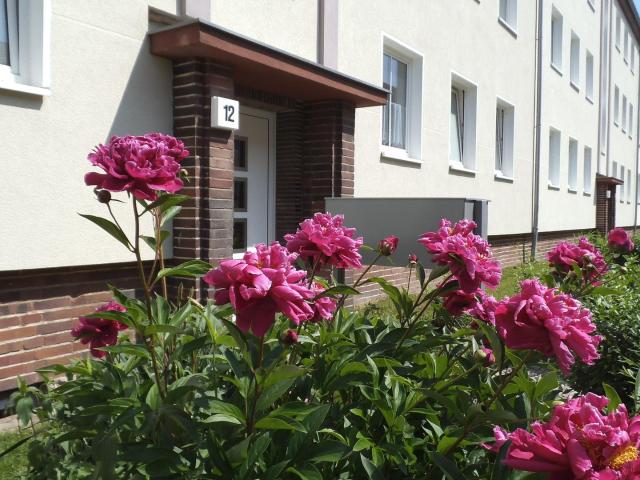 Wohnung mieten in Magdeburg, Sachsen-Anhalt