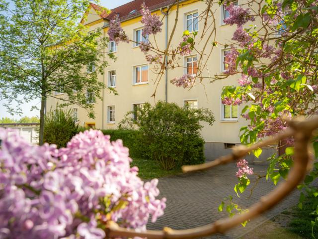Apartment mieten in Damaschkestraße, Halle
