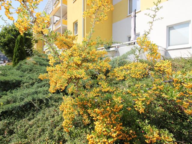 Apartment mieten in Siegmar, Chemnitz