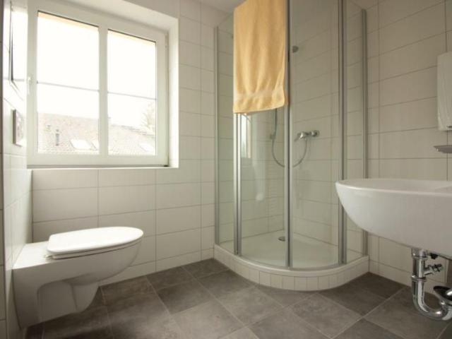 Apartment mieten in Reichenbrand, Chemnitz