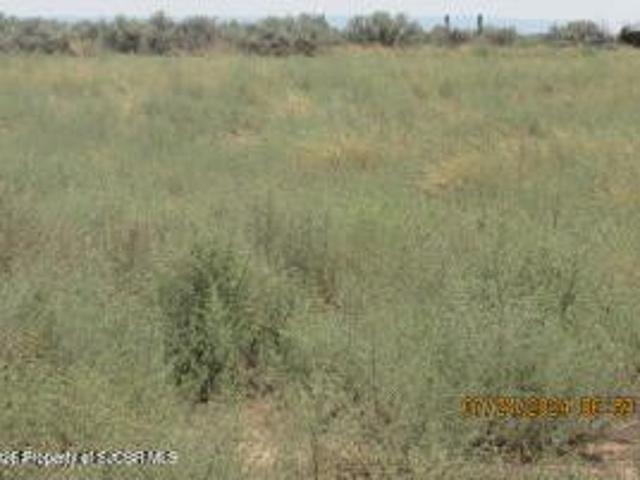 Land for sale in New Mexico