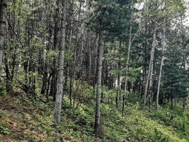 Land for sale in Shoshone, Idaho