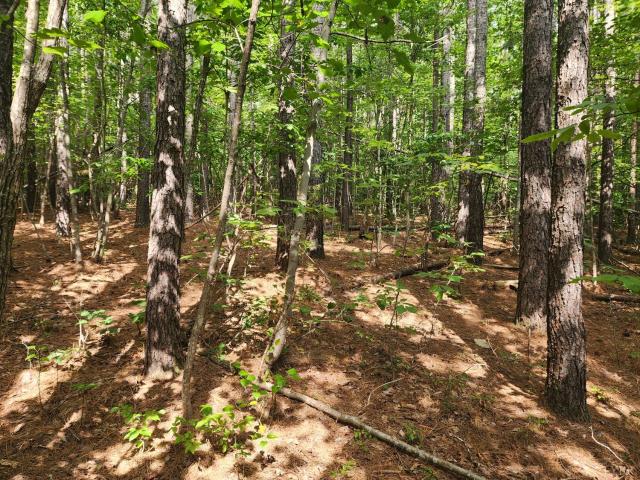 Land for sale in Virginia