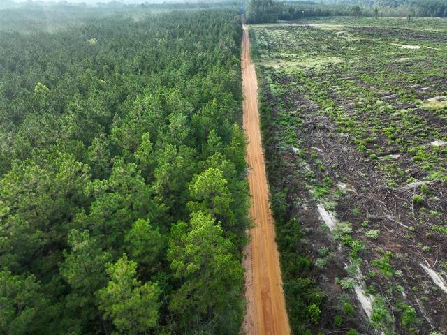 Land for sale in Robeline, Louisiana
