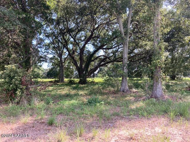 Land for sale in Eunice, Louisiana