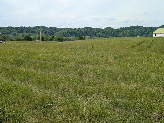 Land for sale in Burkesville, Kentucky