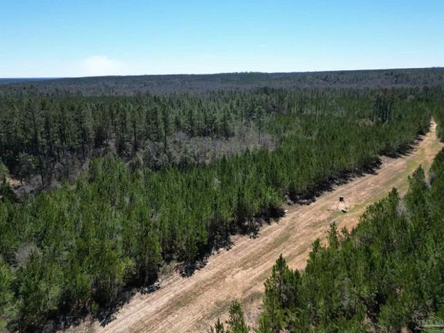 Land for sale in Atmore, Alabama