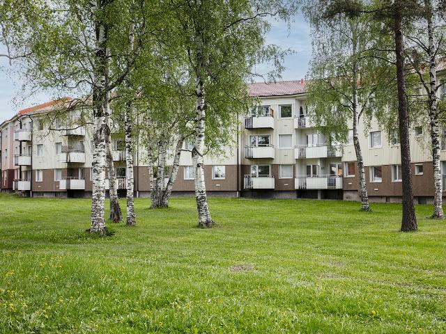 Lägenhet hyra i Luleå, Norrbotten