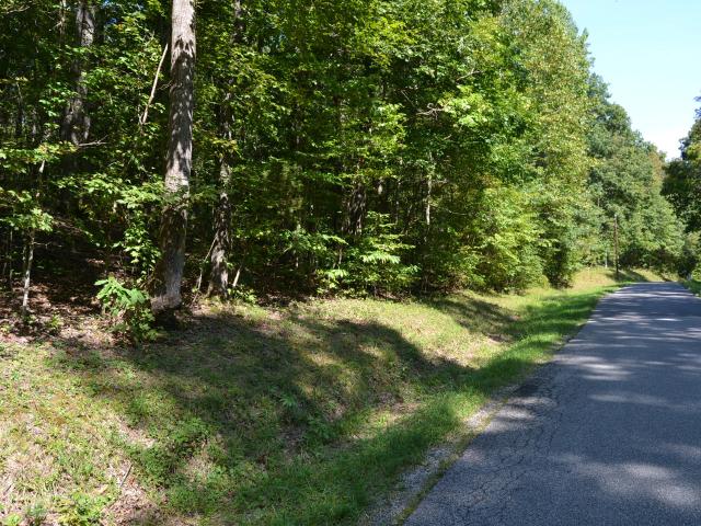 Land for sale in Eddyville, Kentucky