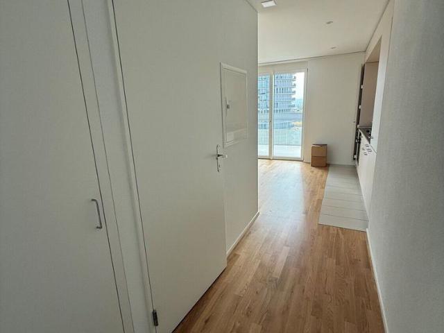Apartment mieten in Dübendorf, Zürich