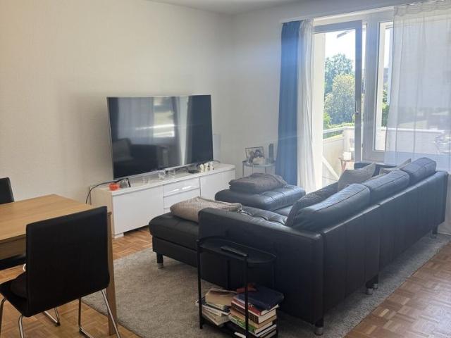 Apartment mieten in Adliswil, Zürich