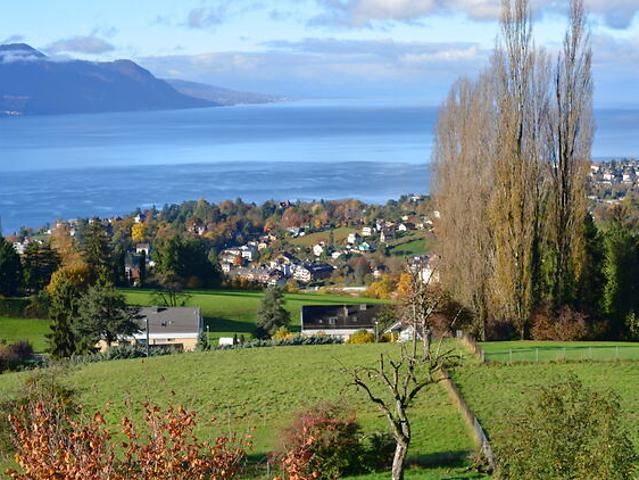 Apartment mieten in Chailly-Montreux, Waadt