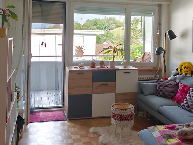 Apartment mieten in Rapperswil-Jona, St. Gallen