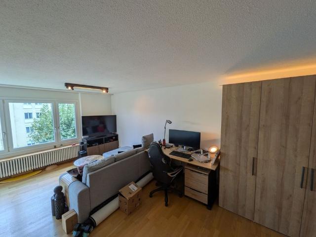 Apartment mieten in Tribschen, Luzern