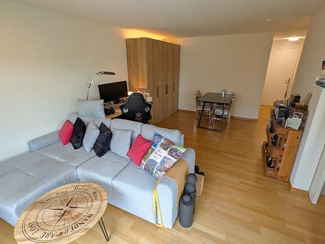Apartment mieten in Schönbühl, Luzern