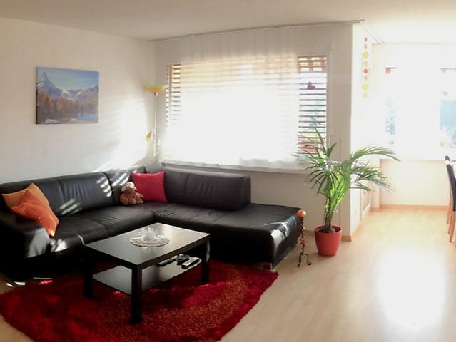Apartment mieten in Winznau, Amtei Olten-Gösgen