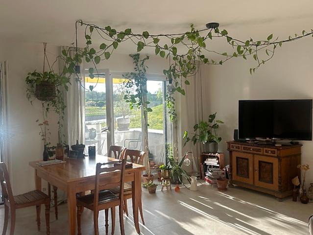 Apartment mieten in Einigen, Zürich