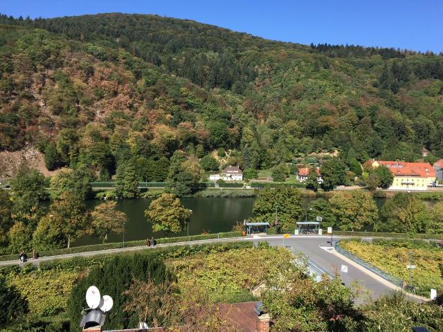 Apartment mieten in Schlierbach, Heidelberg