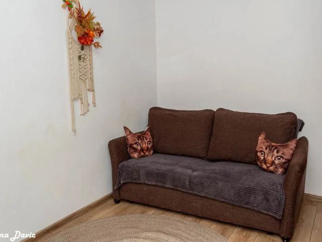 Apartament închirieri în Vaslui