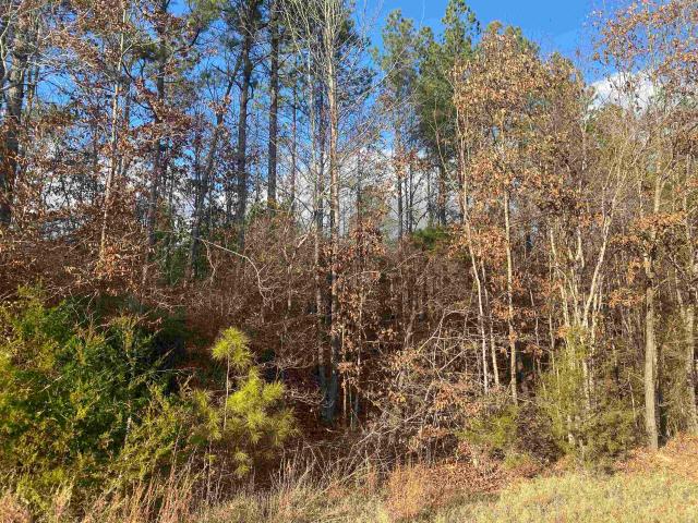 Land for sale in Tennessee