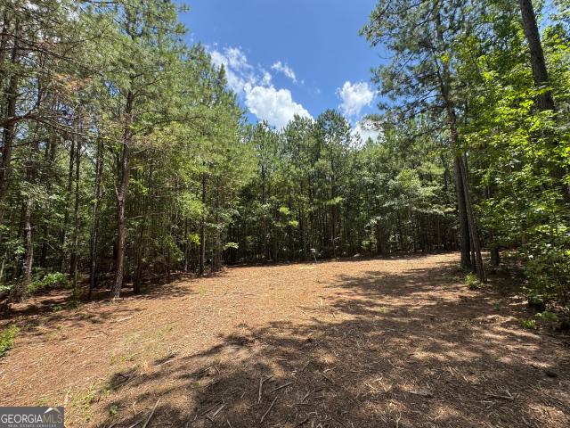 Land for sale in Sparta, Georgia