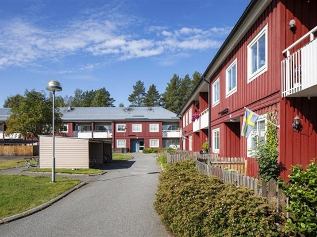 Lägenhet hyra i Skellefteå, Västerbotten