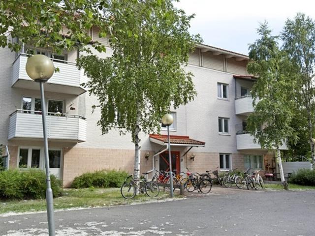 Lägenhet hyra i Umeå, Västerbotten