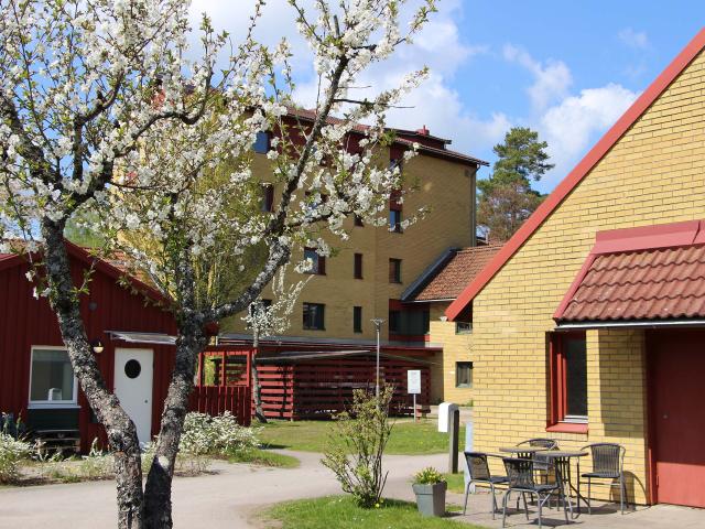 Lägenhet hyra i Växjö, Kronoberg
