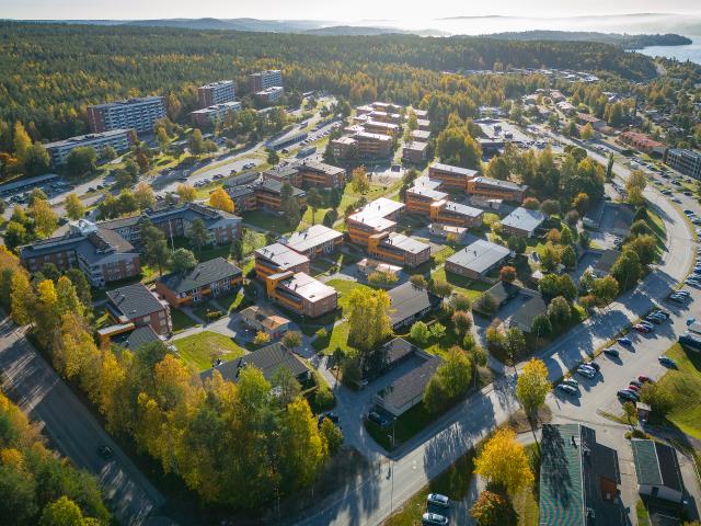 Lägenhet hyra i Örnsköldsvik, Västernorrland