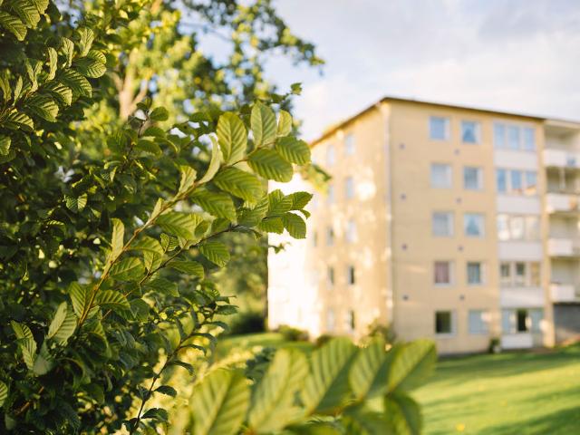 Lägenhet hyra i Strömsnäsbruk, Kronoberg