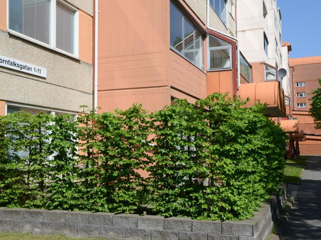 Lägenhet hyra i Jönköping