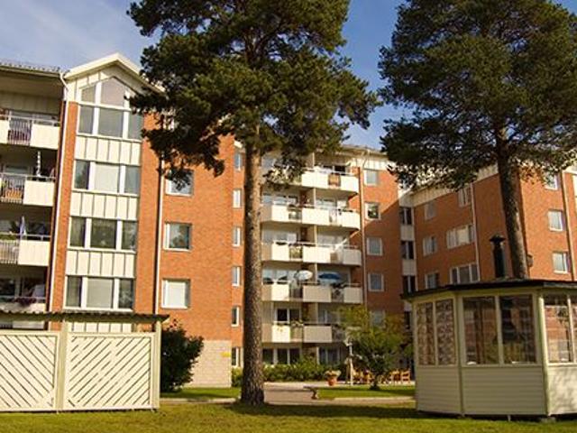 Lägenhet hyra i Kalix, Norrbotten