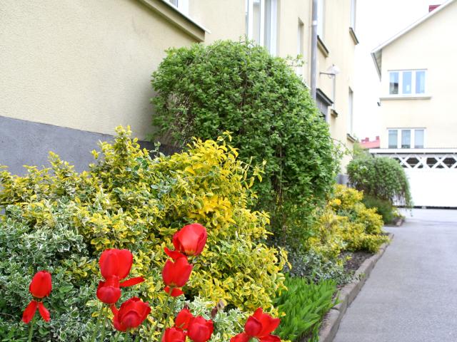 Lägenhet hyra i Karlshamn, Blekinge