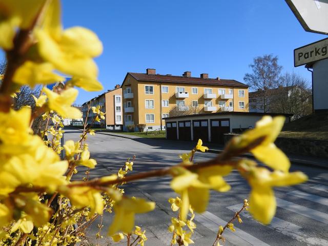 Lägenhet hyra i Mönsterås, Kalmar