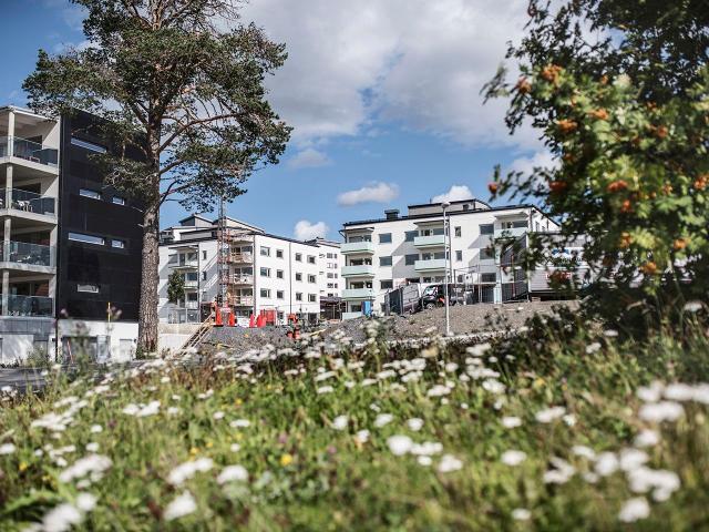 Lägenhet hyra i Östersund, Jämtland