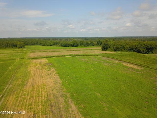 Land for sale in Wallace, North Carolina