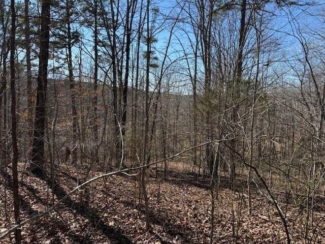 Land for sale in Tennessee